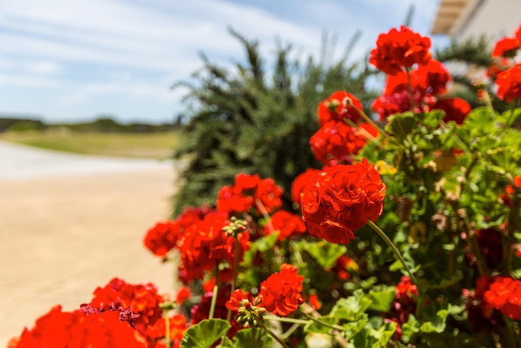 Wytonia Beachfront Accommodation Port Fairy Extérieur photo